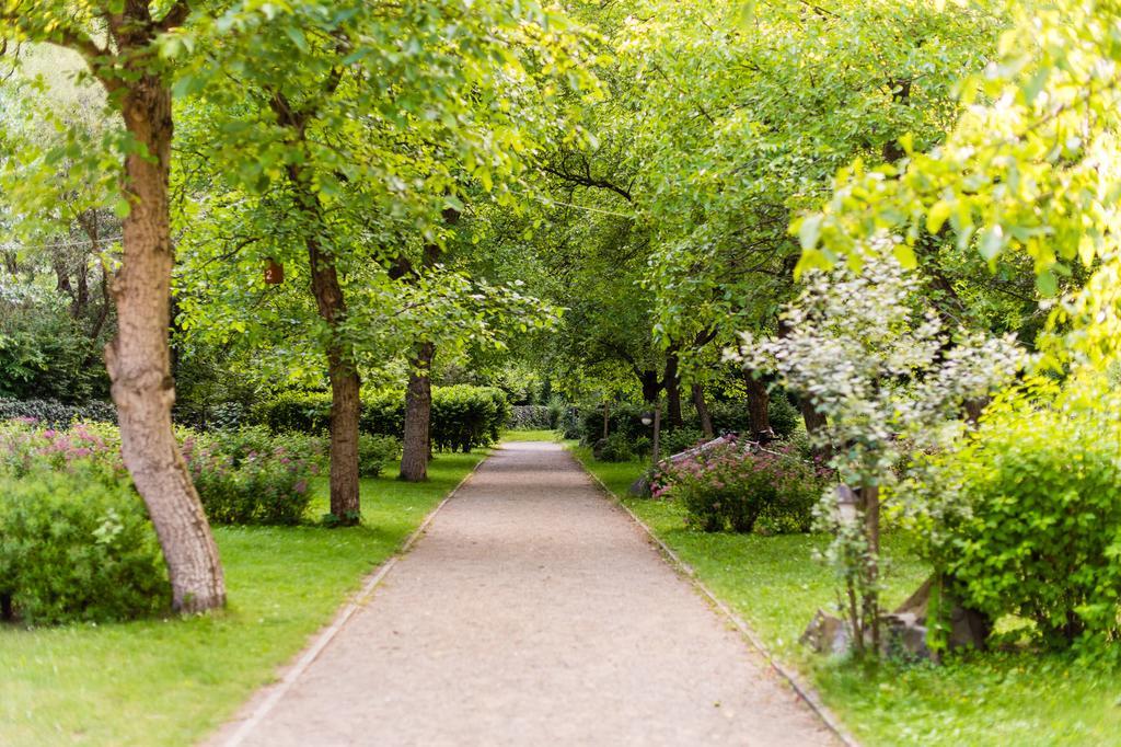 Oeko-Park Panzio, Kemping Es Rendezvenykoezpont Szarvasko Экстерьер фото