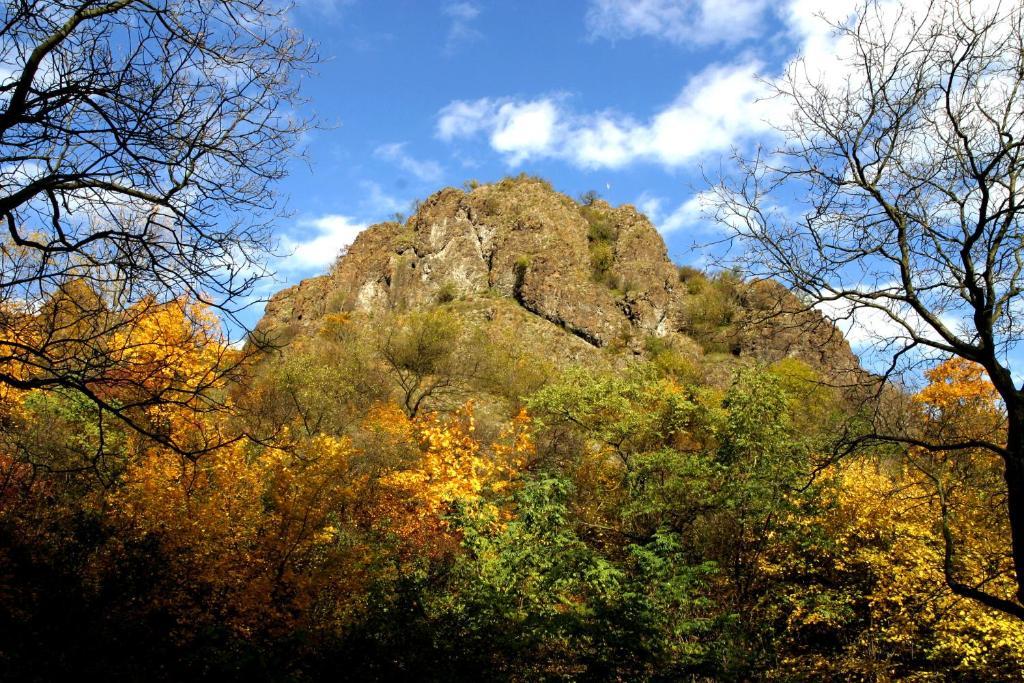 Oeko-Park Panzio, Kemping Es Rendezvenykoezpont Szarvasko Экстерьер фото