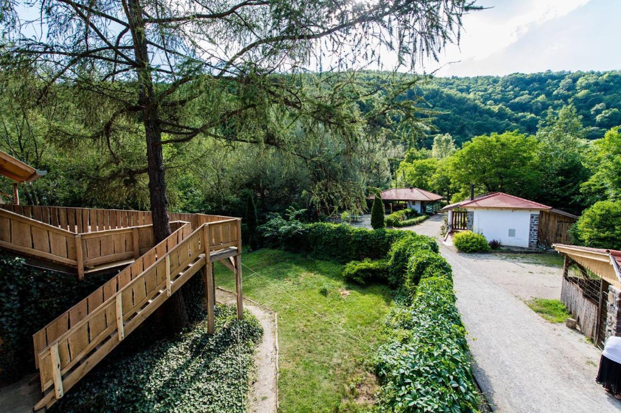 Oeko-Park Panzio, Kemping Es Rendezvenykoezpont Szarvasko Экстерьер фото